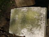 image of grave number 240556